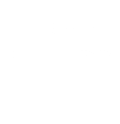 La vita sulla Terra