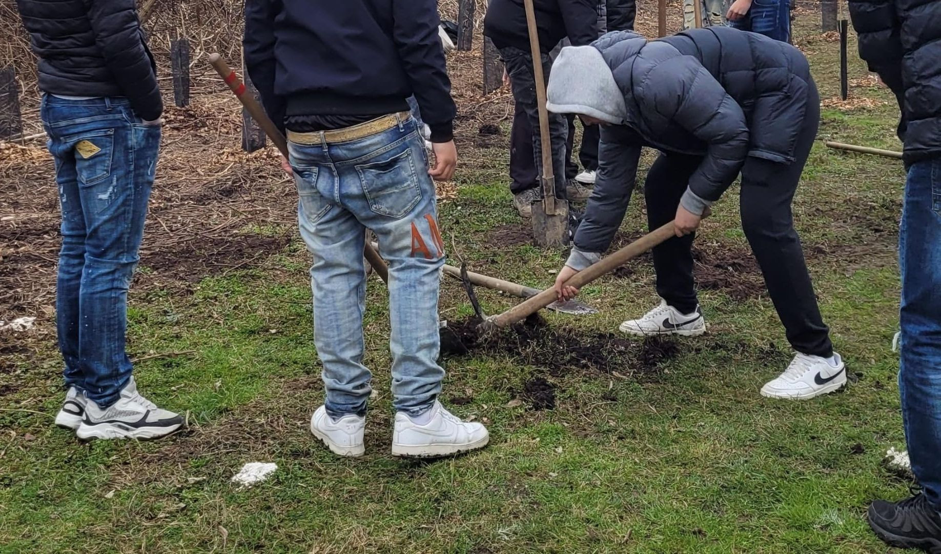 Immagine per l'elemento progettualità